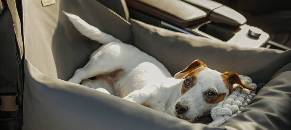 dog car booster seat