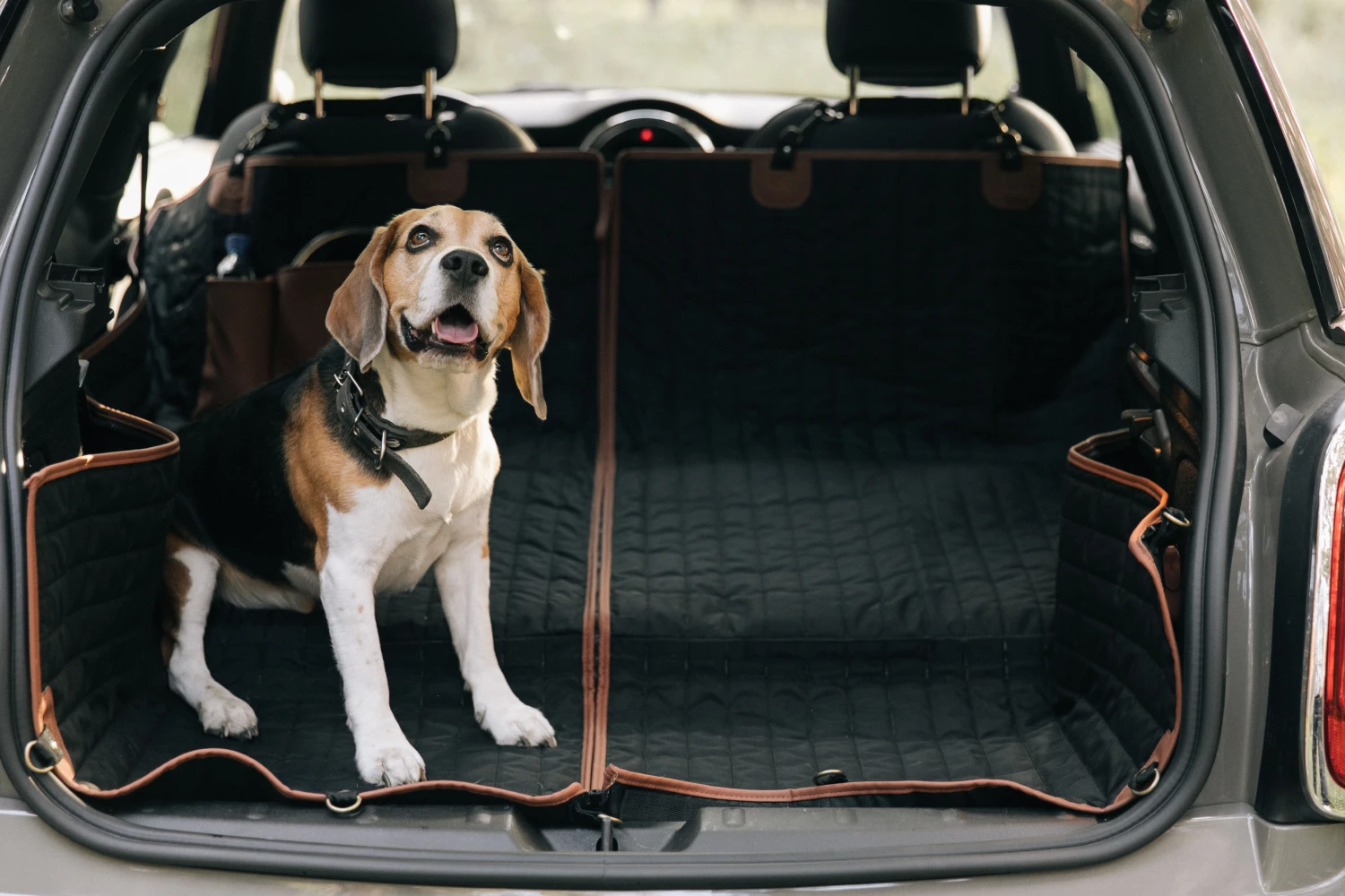 pet seat cover for Dodge Grand Caravan