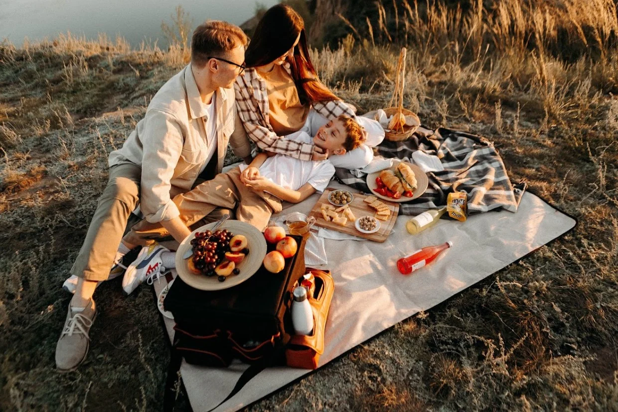 best large picnic blanket