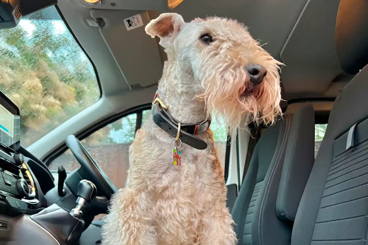 Ford EcoSport Dog Car Seat for Lakeland Terriers