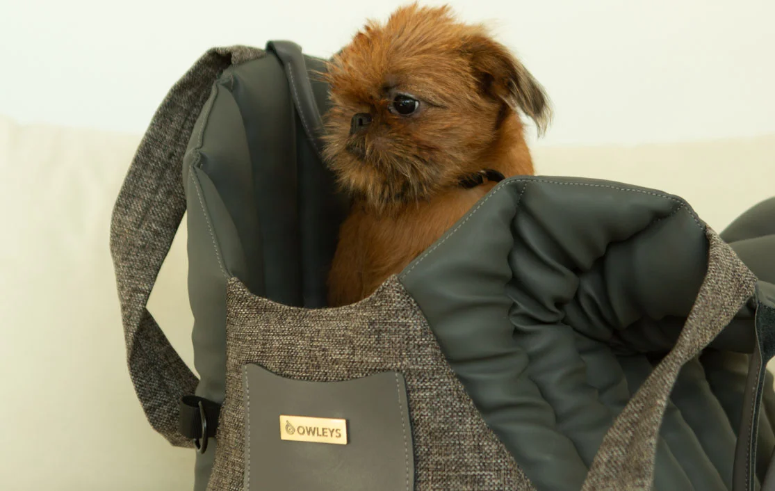 Japanese Terrier Dog Carrier Car Seat for Honda Odyssey