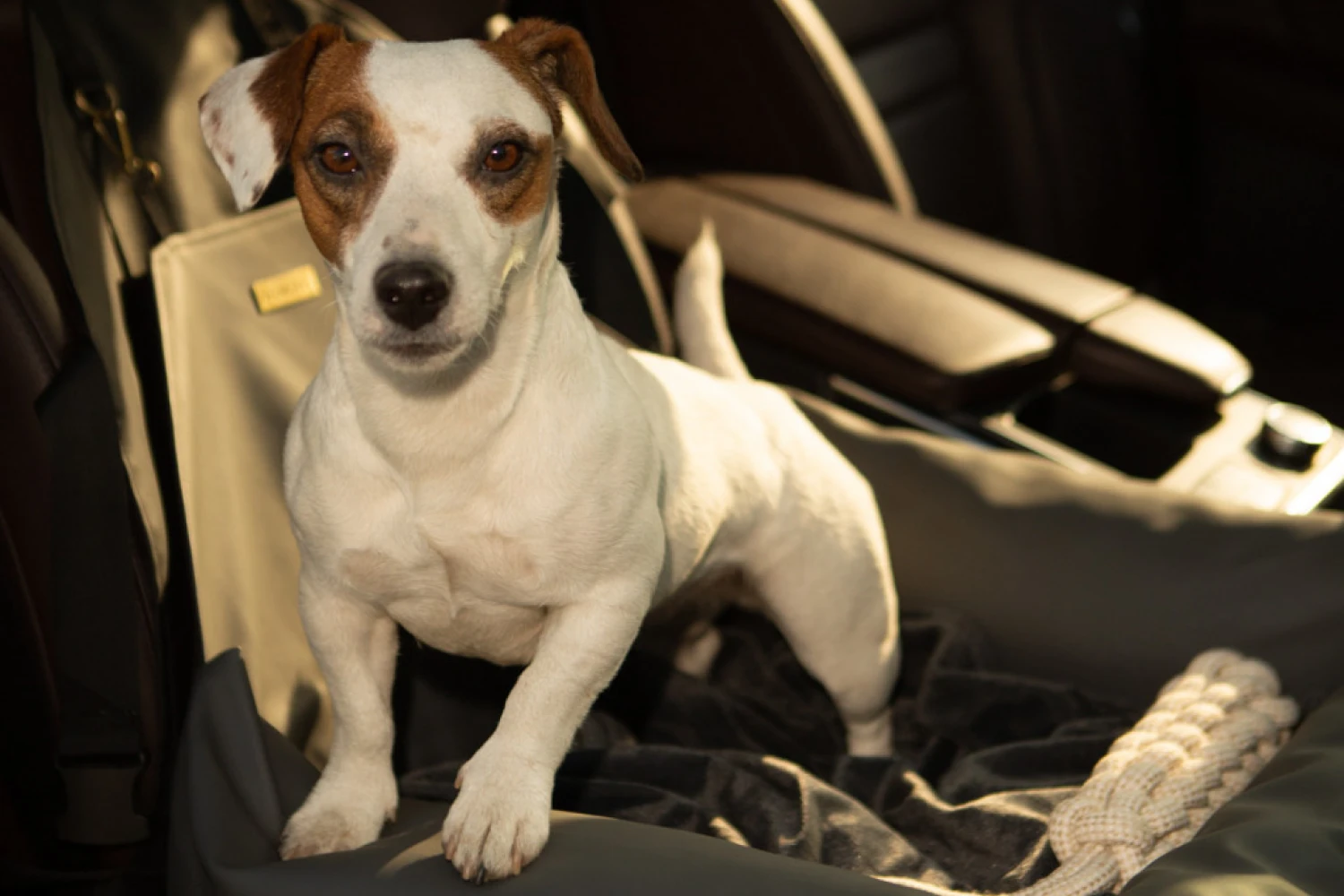 Russell Terriers Dog Car Seat for Ram Truck
