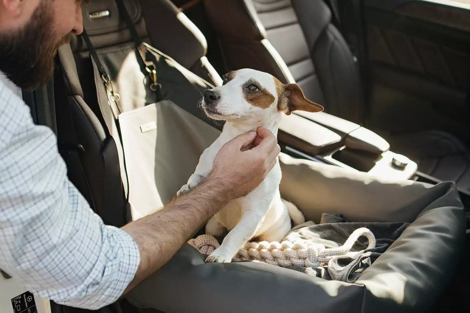 Ford Escape Dog Car Seat for Pekingese