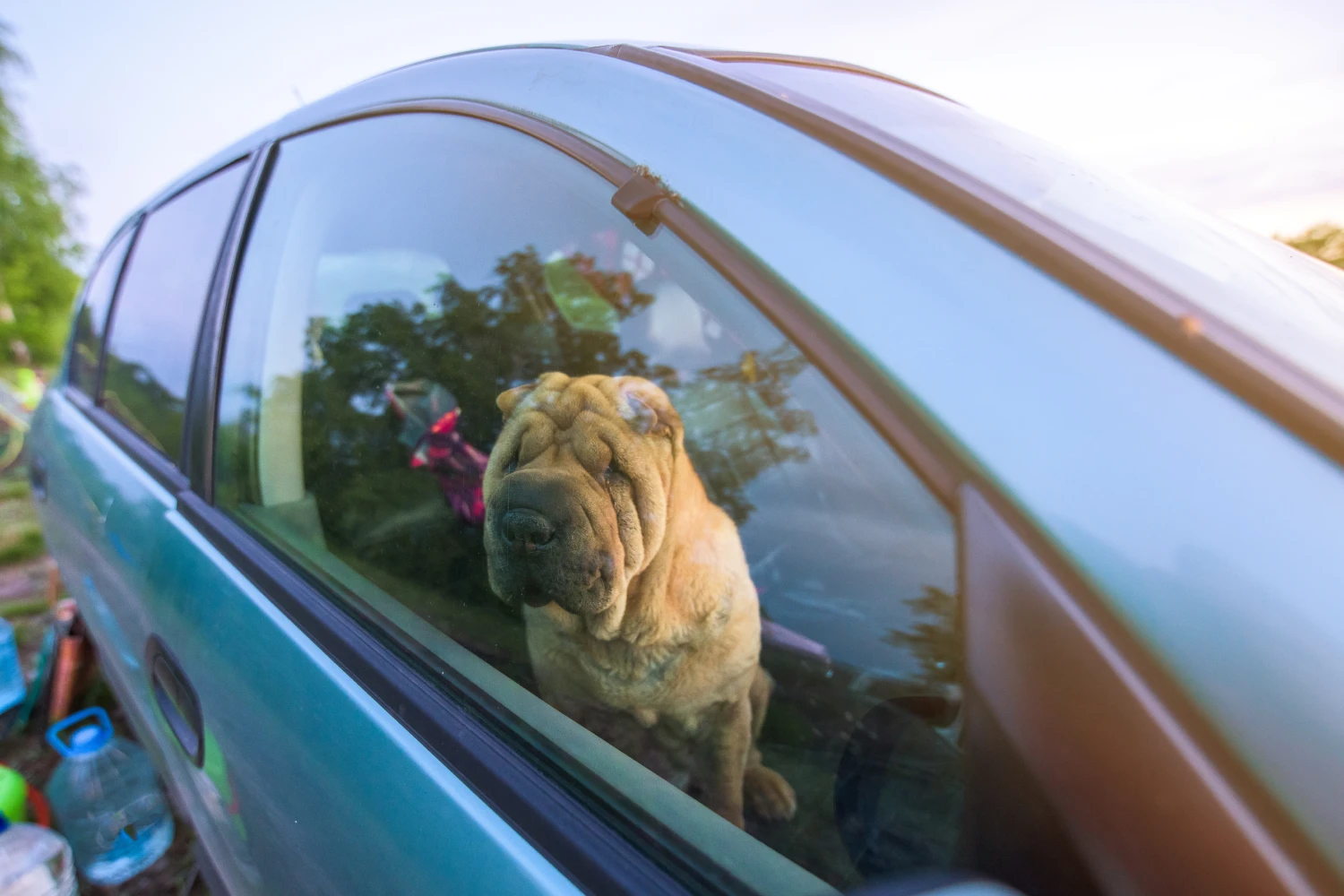 Hyundai Palisade Dog Car Seat for Shar-Pei