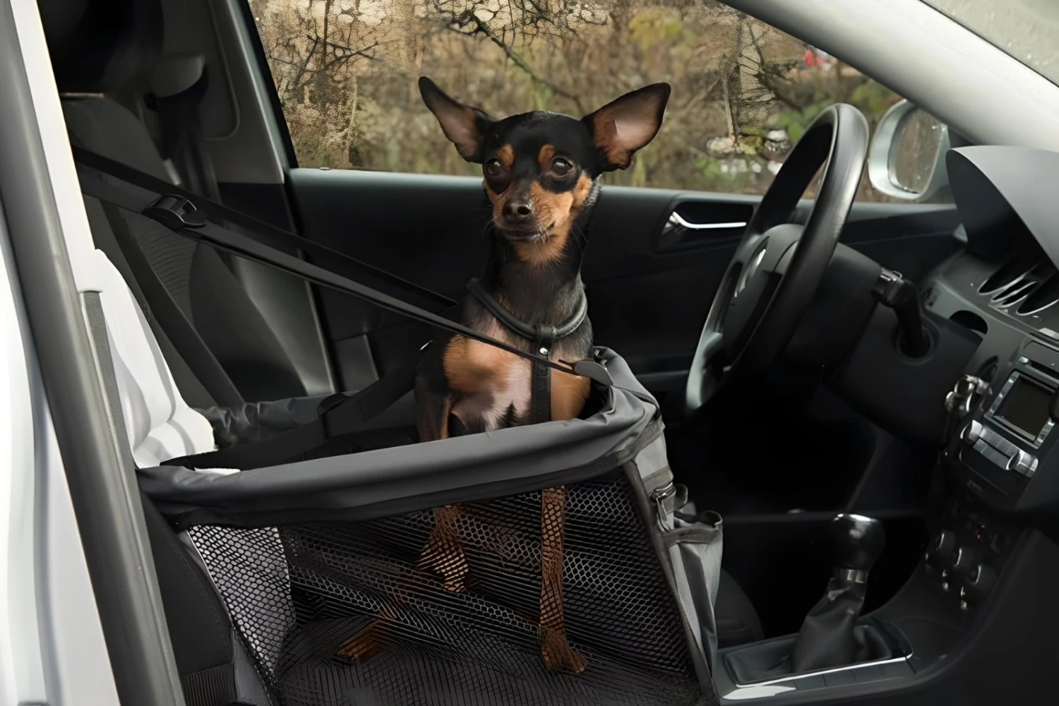 Jeep Grand Cherokee Dog Carrier Car Seat for Toy Manchester Terrier