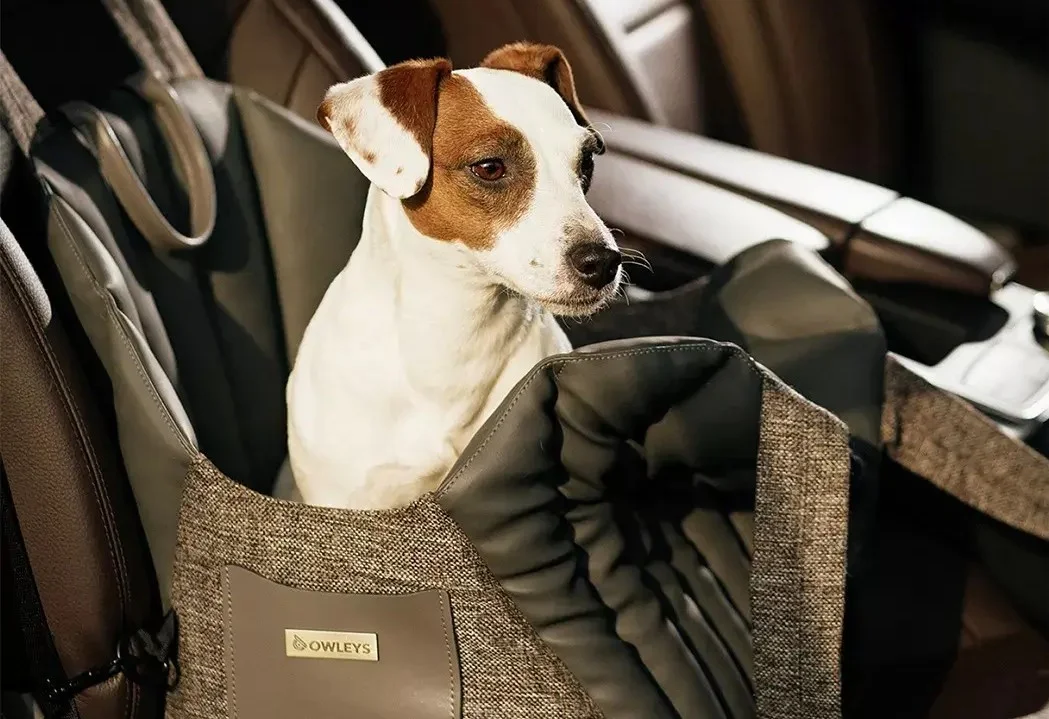 Dutch Smoushond Dog Carrier Car Seat for Ford Escape