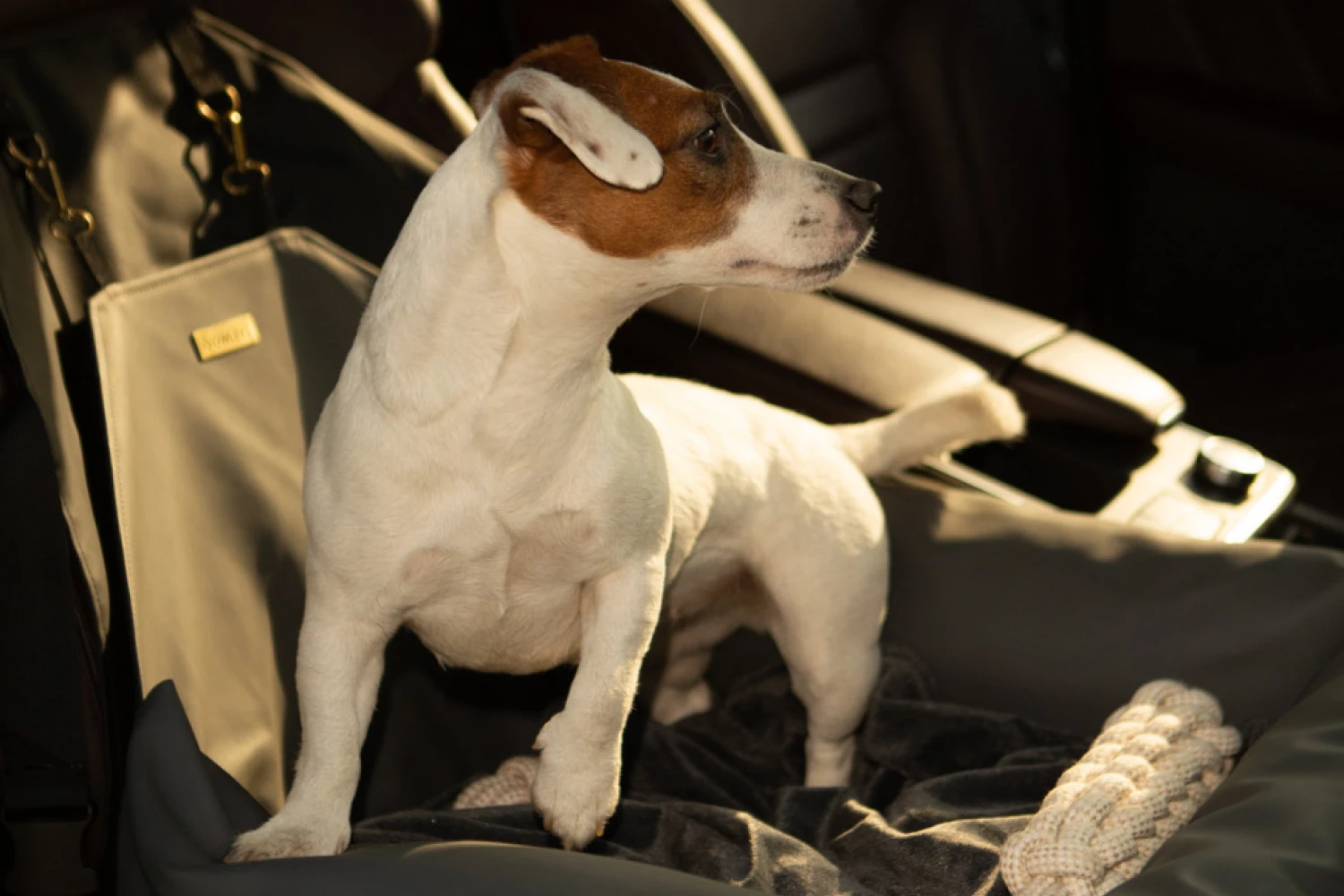 Boston Terriers Dog Car Seat for Hyundai Kona