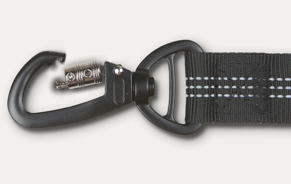 Vizslas  Dog Safety Belt for Lexus RX
