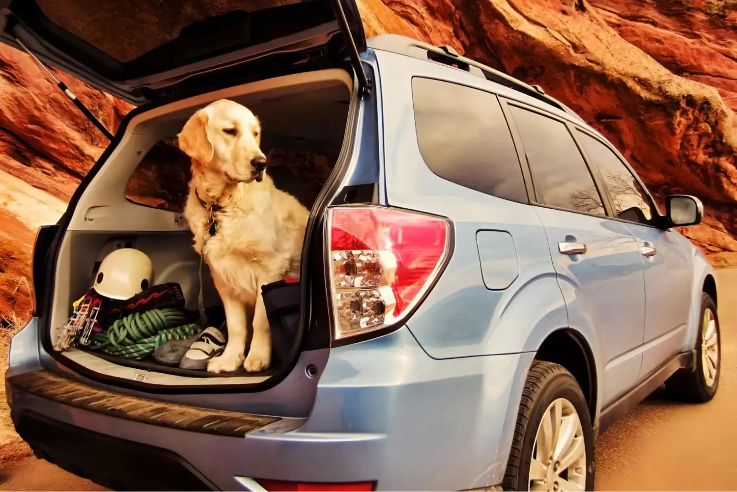 pet seat cover for Subaru Forester