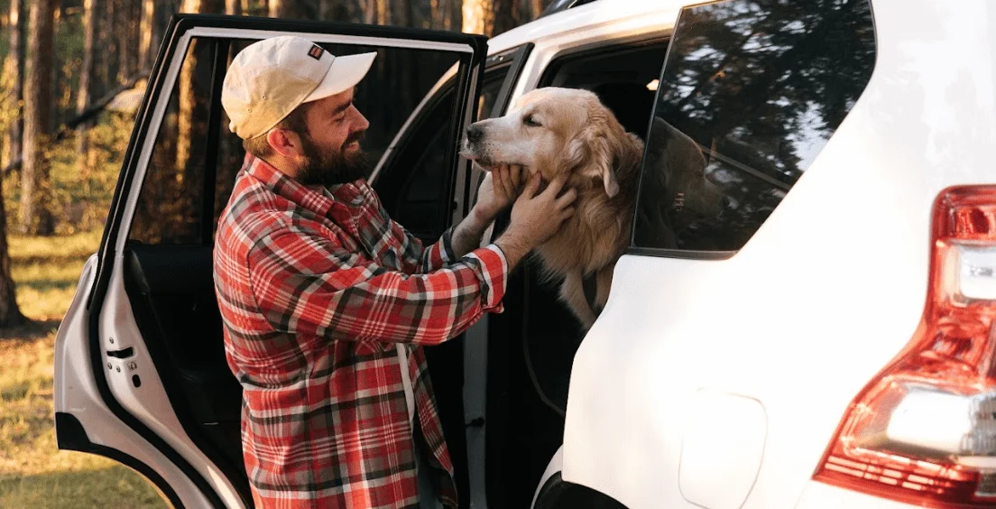 Norwegian Elkhounds Dog Car Seat Belt for Nissan Murano