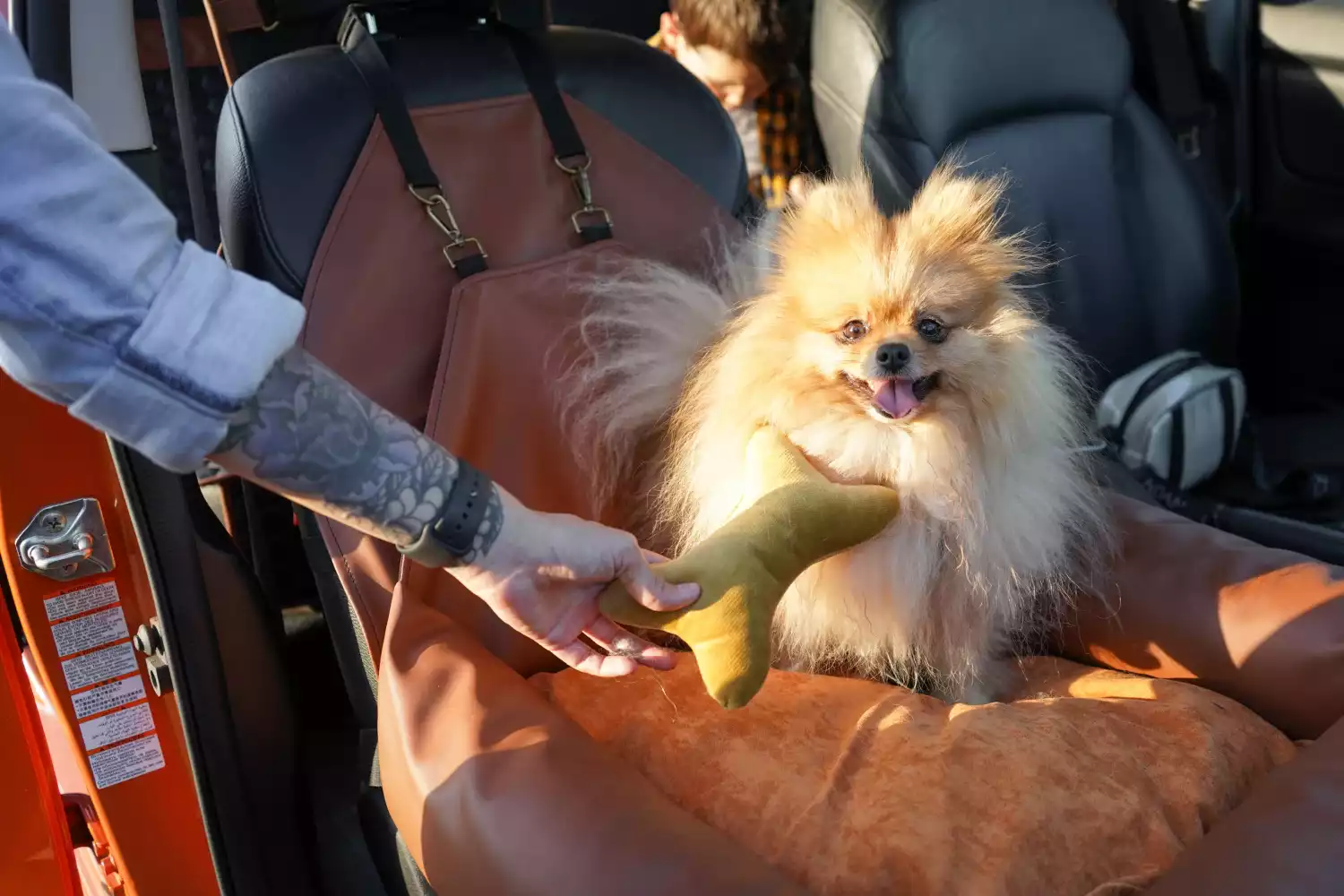 Norfolk Terriers Dog Car Seat for Tesla Model 3