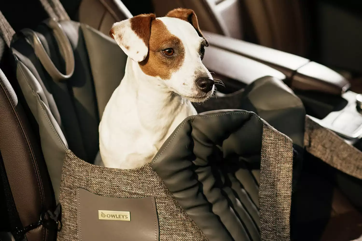 Mercedes-Benz GLE Dog Carrier Car Seat for Affenpinscher
