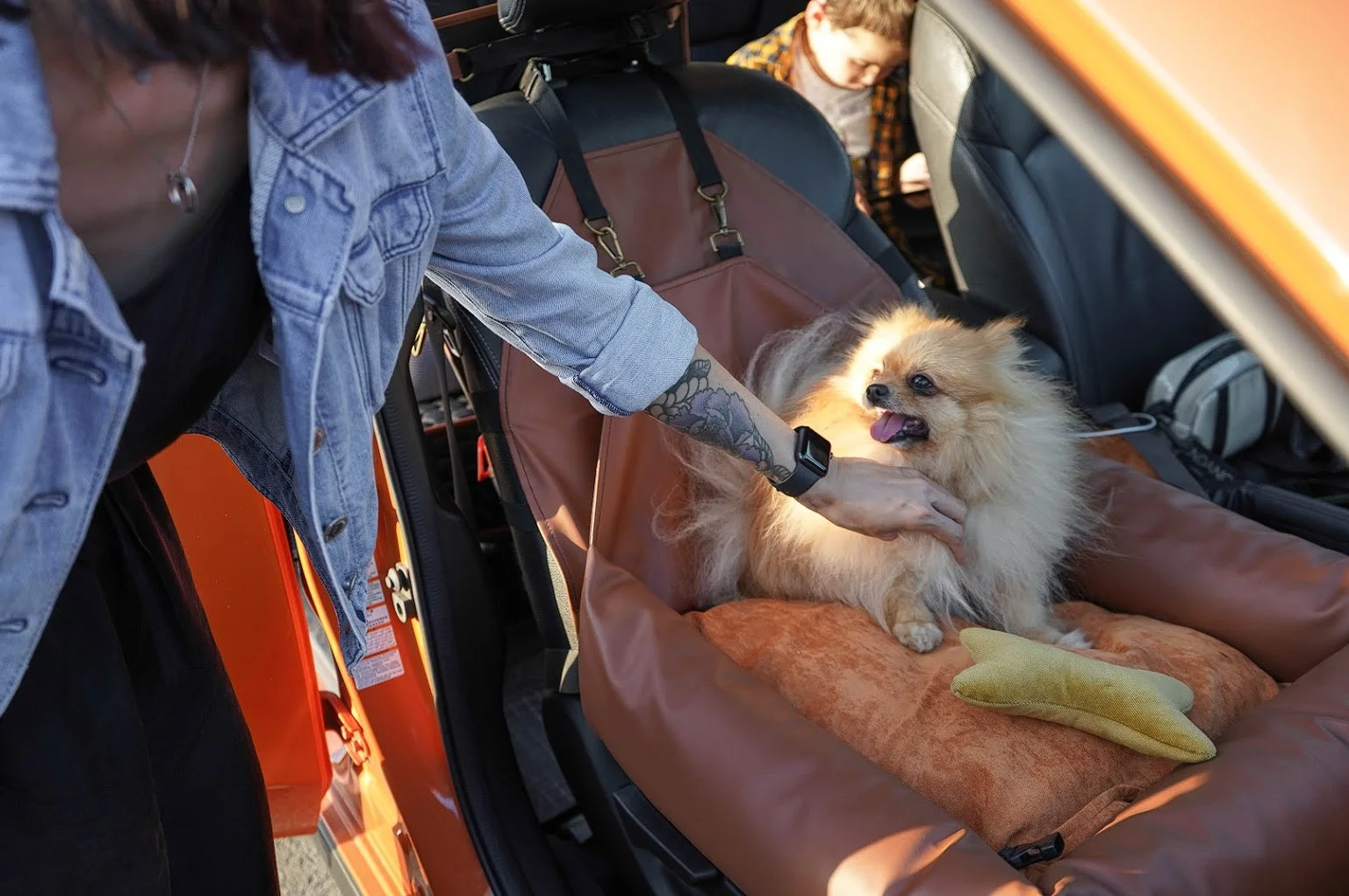 Pekingese Dog Car Seat for Toyota Highlander